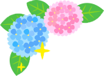 あじさい