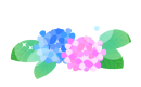 あじさい3